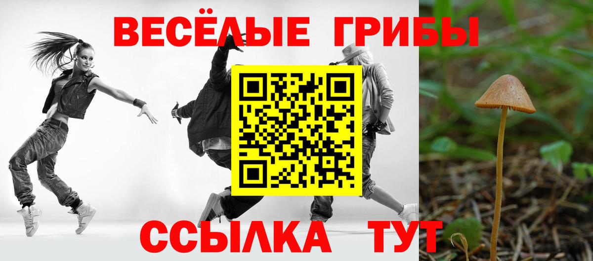 Канабис  ГАШ  Метамфетамин  Шебекино  ГАШ  Вход с VPN  Меф МЯУ МЯУ  