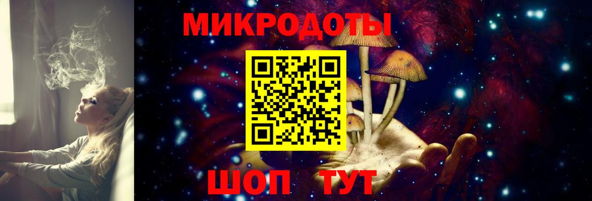 Псилоцибиновые грибы прущие грибы  Галлюциногенные грибы Psilocybe  Шебекино 